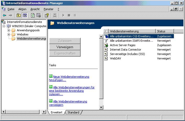 Web service extensions